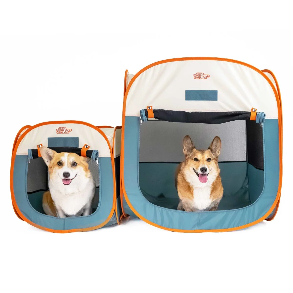 Corgi Collection